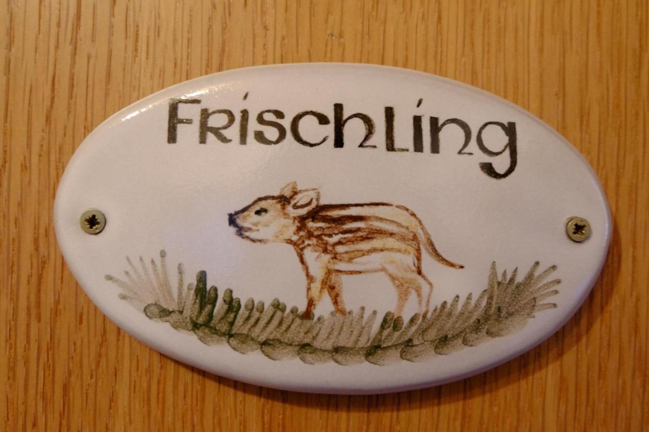 Schwarzwild - Ferienwohnung Und Ferienzimmer Baiersbronn Zewnętrze zdjęcie