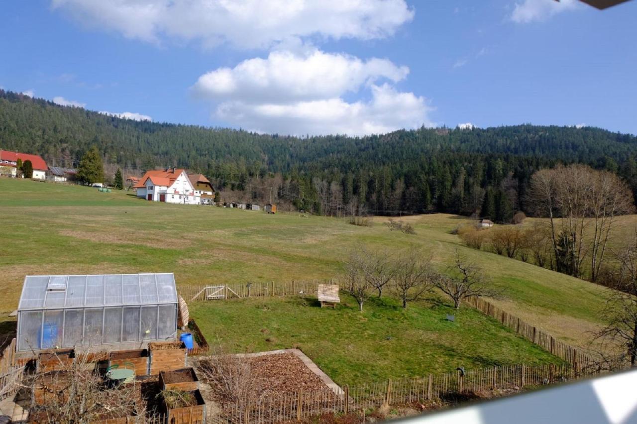 Schwarzwild - Ferienwohnung Und Ferienzimmer Baiersbronn Zewnętrze zdjęcie