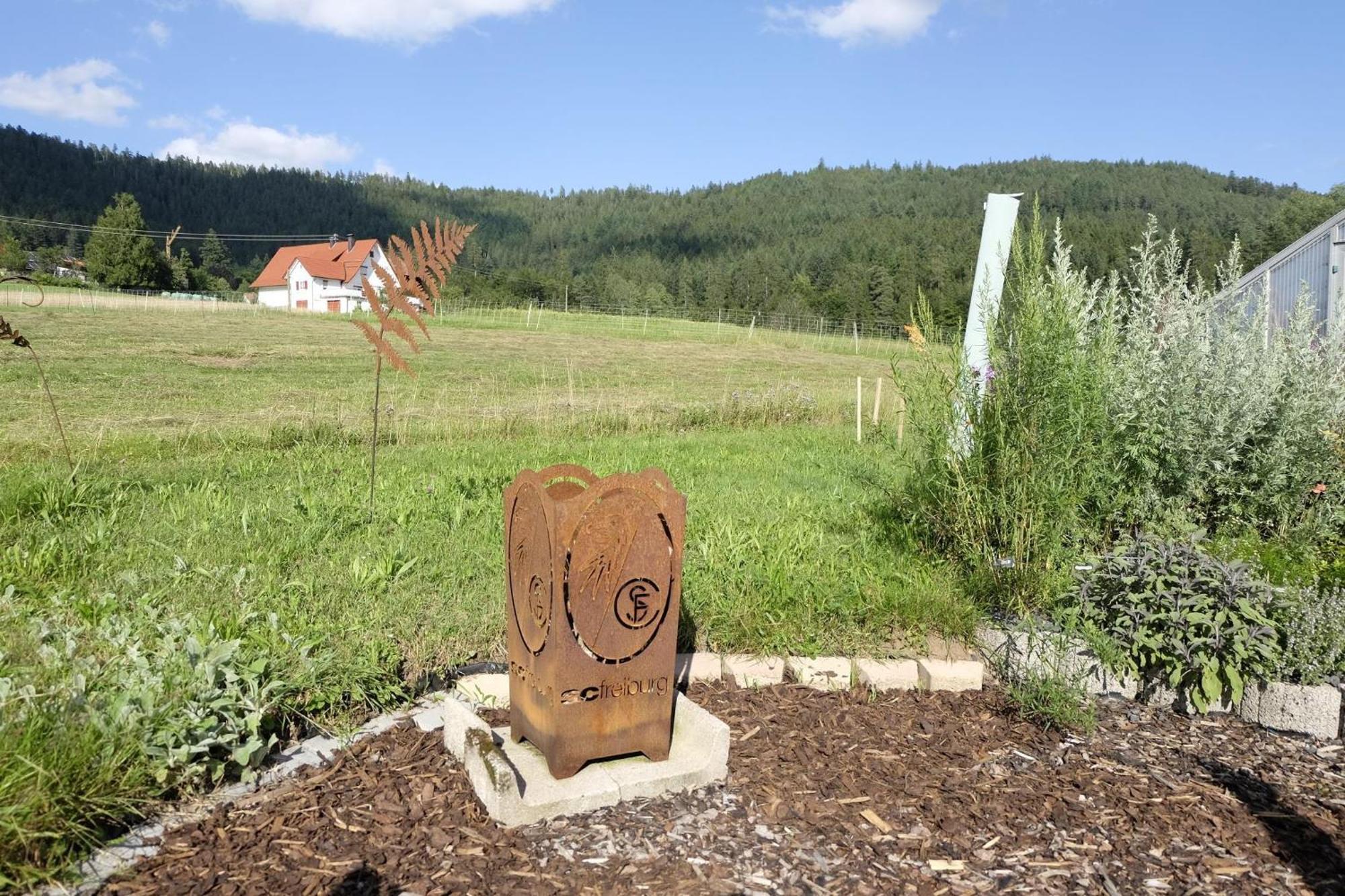 Schwarzwild - Ferienwohnung Und Ferienzimmer Baiersbronn Zewnętrze zdjęcie