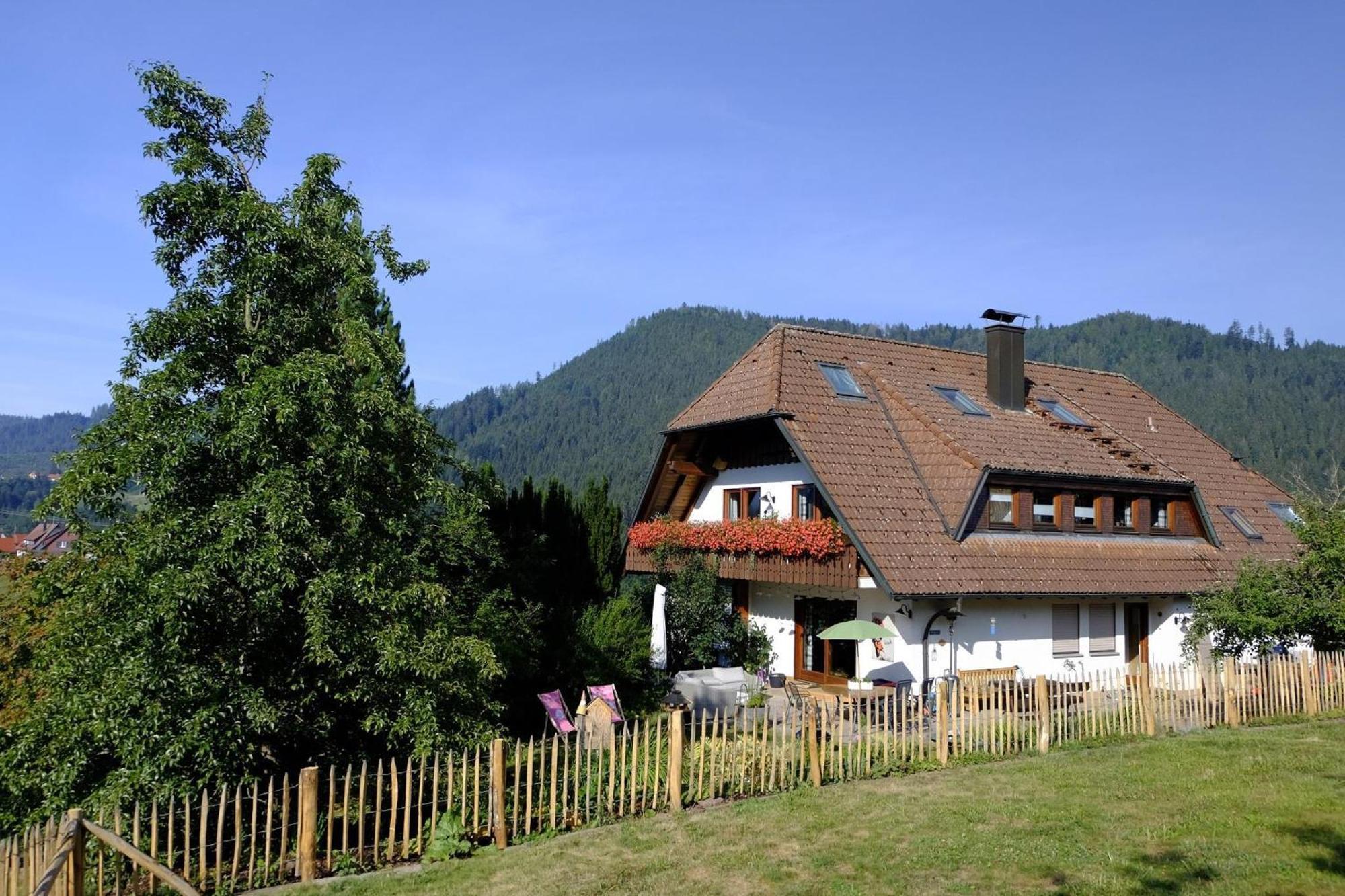 Schwarzwild - Ferienwohnung Und Ferienzimmer Baiersbronn Zewnętrze zdjęcie