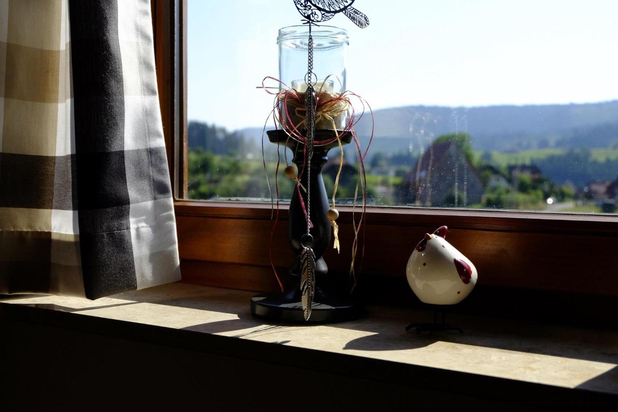 Schwarzwild - Ferienwohnung Und Ferienzimmer Baiersbronn Pokój zdjęcie